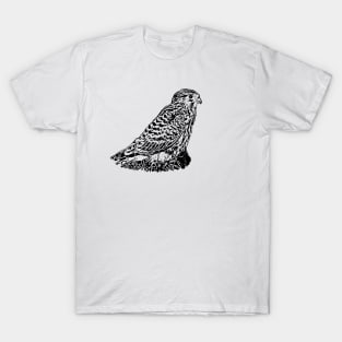 Kestrel T-Shirt